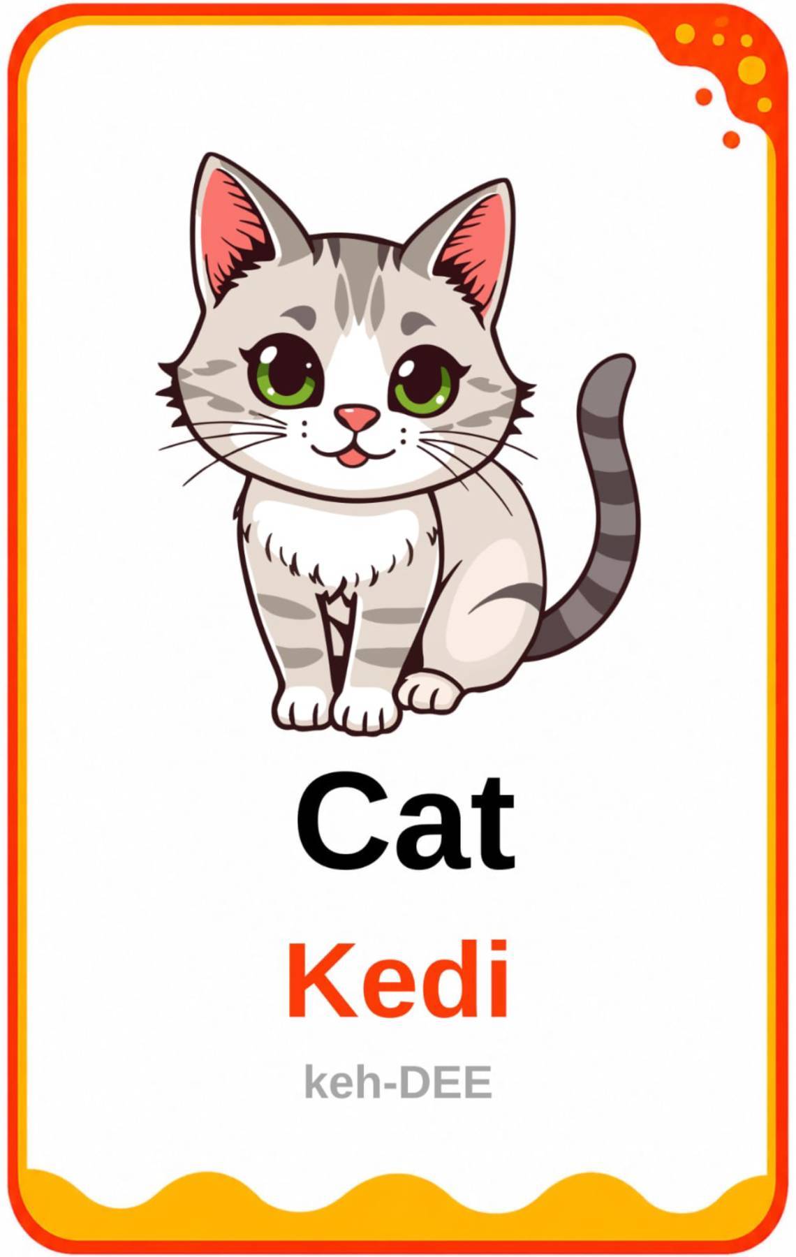 cat flashcard